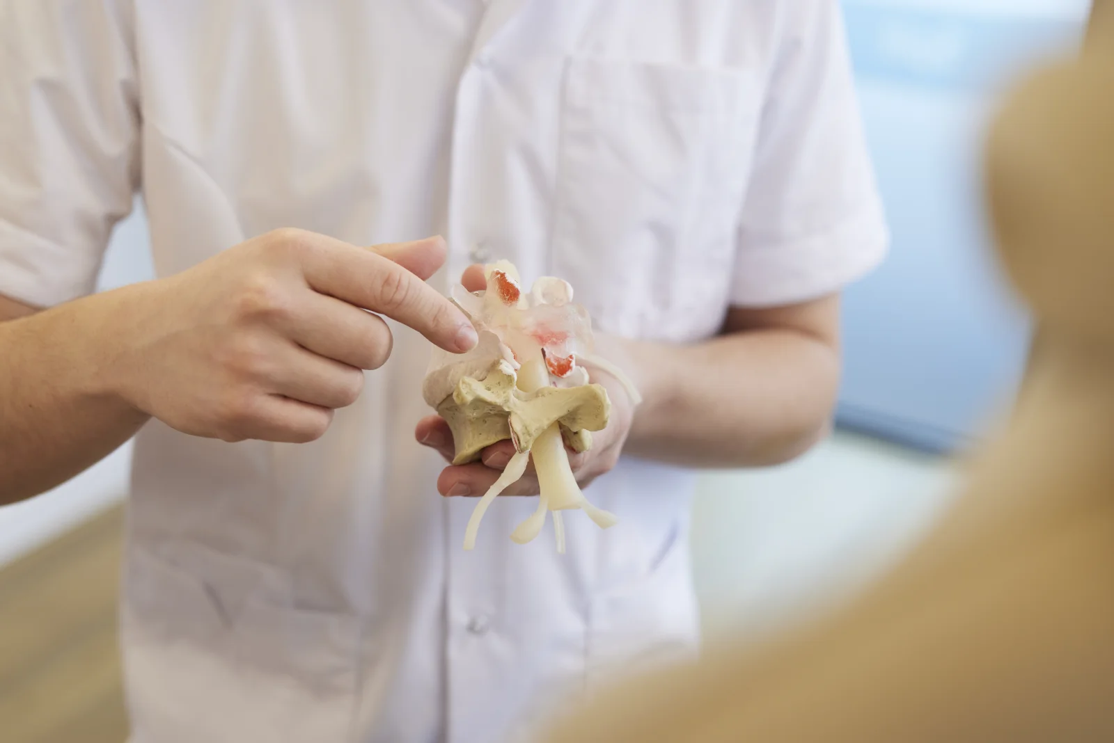Uitleg over de onderrug met een anatomisch model in de praktijk